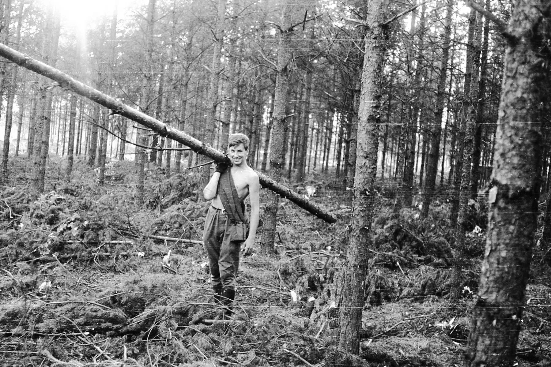 img740.webp